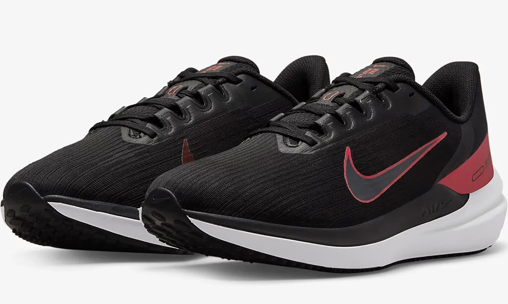 Nike Air Winflo 9 pair